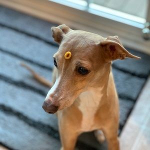 Meet your Posher, Valerie